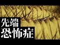 【閲覧注意】先端恐怖症の俺と怖い先端の画像見ようぜ