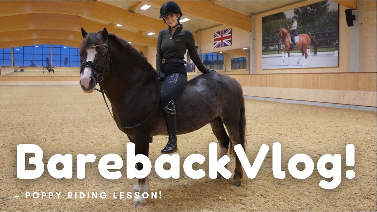 I RODE RINGO BAREBACK! + Ringo teaches a beginner to ride!