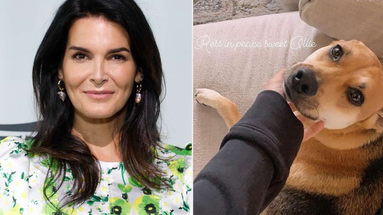 Angie Harmon Dog's Tragic Death Involving A Instacart Delivery Driver