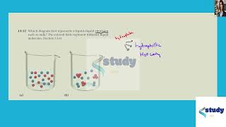 [Chemistry] Which diagram best represents a liquid-liquid emulsion such as milk? The colored balls