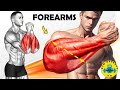 Get Big Forearms Fast With These 6 Gym Workouts! Just 5 Minutes A Day!