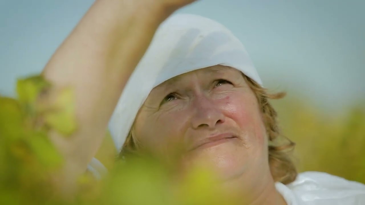 Wines of Macedonia - Promotional Video 2022