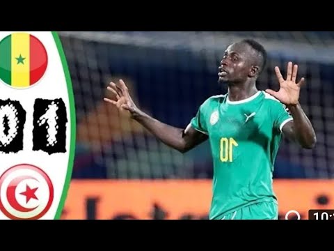 ملخص مباراة تونس و السنغال 0_1 مباراة نارية جنون الشوالي تألق تونس⁦🇹🇳⁩⁦⁦⁦ أمم افريقيا 2019 HD