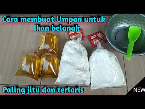 Cara Membuat Umpan Belanak Paling Ampuh