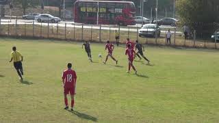 Fall 2019 Highlights