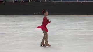Skate Houston 2022 Basic 4 - #Turning Red #Temple Duties