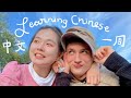 Teaching my Boyfriend Chinese for a Week! LANGUAGE GLOW-UP + STUDY TIPS