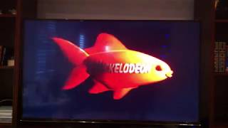 Nickelodeon Fish Bumper