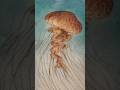 Jellyfish Serenity #art #painting #howtodraw #arttutorial #jellyfish #marineart #animalart #fishart