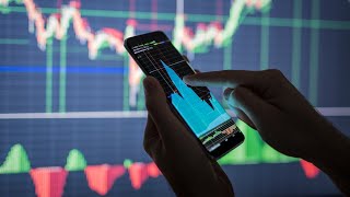 Celebrity ‘Continued strong level of trading’ across Wesfarmers businesses since start of 2023 Wealth