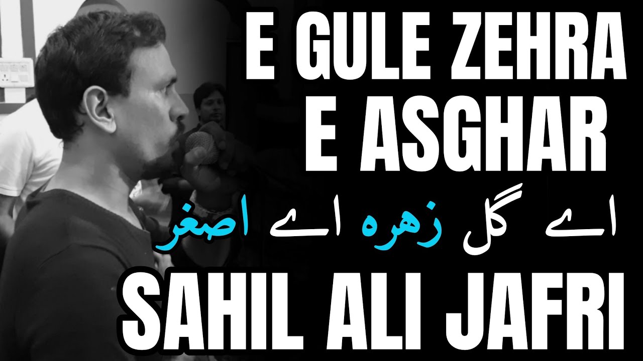 Sahil Ali Jafri Meeruthi 2019/1441H | Noha : E Gule Zehra E Asghar a.s | Shabe Chehlum 2019/1441H