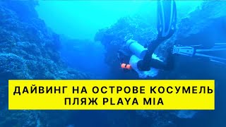 Vlog Дайвинг остров Косумель Мексика 2023, пляж Playa Mia, купила купальник и обгорела