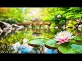 30 minute soothing meditation music  insight tones  david laurent  for relaxation peace focus