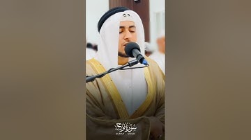 سورة نوح - القارئ إياد عوني - رمضان 1446