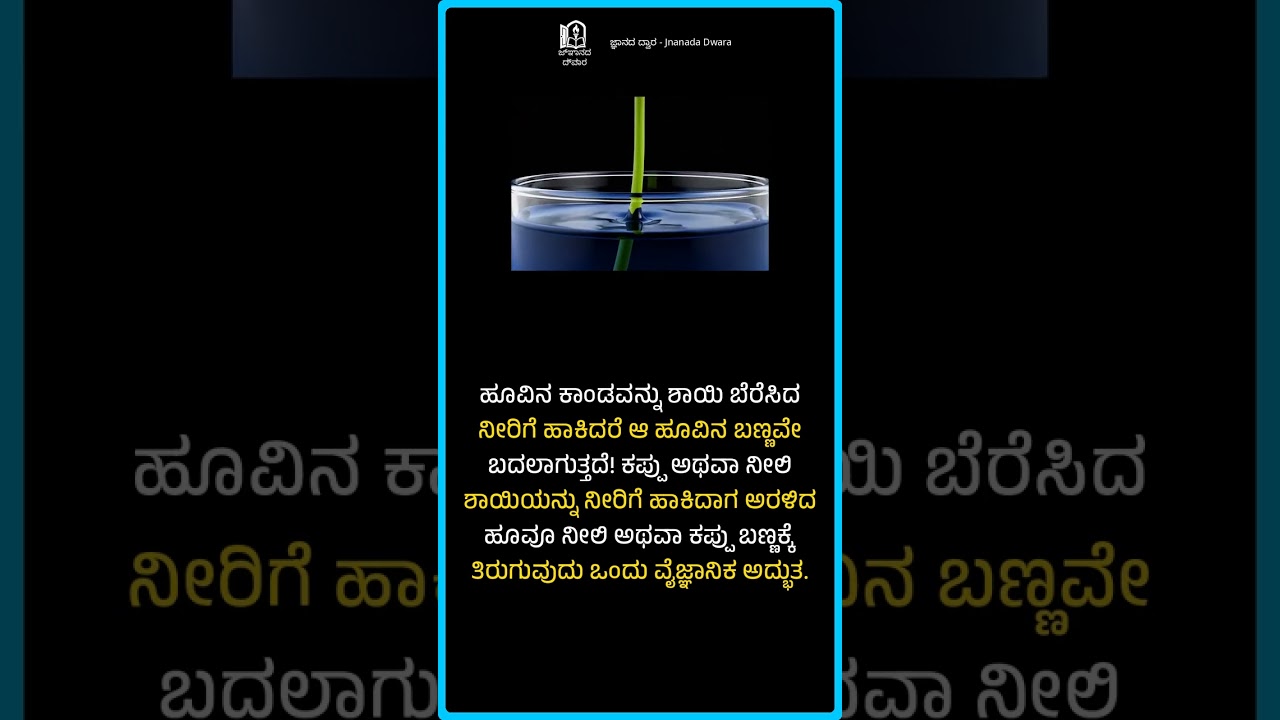 ಹೂವಿನ ಬಣ್ಣ ಬದಲಾಗುವುದೇ? | Amazing Flower Color Change