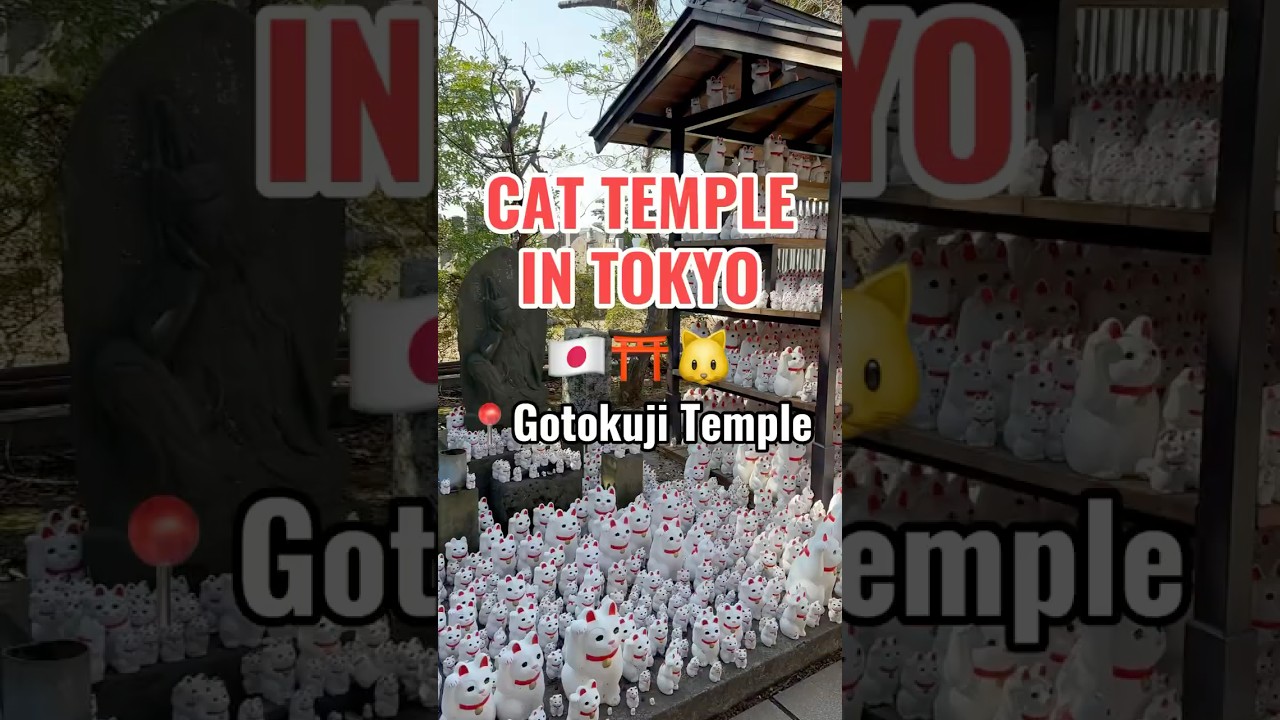 Gotokuji temple cat themed temple in Setagaya, Japan 