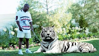 This Is How Mike Tyson Got His Pet Tiger