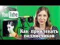 Как привлекать подписчиков: советы от создательницы канала Chewing Sand