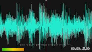 mr hippo song