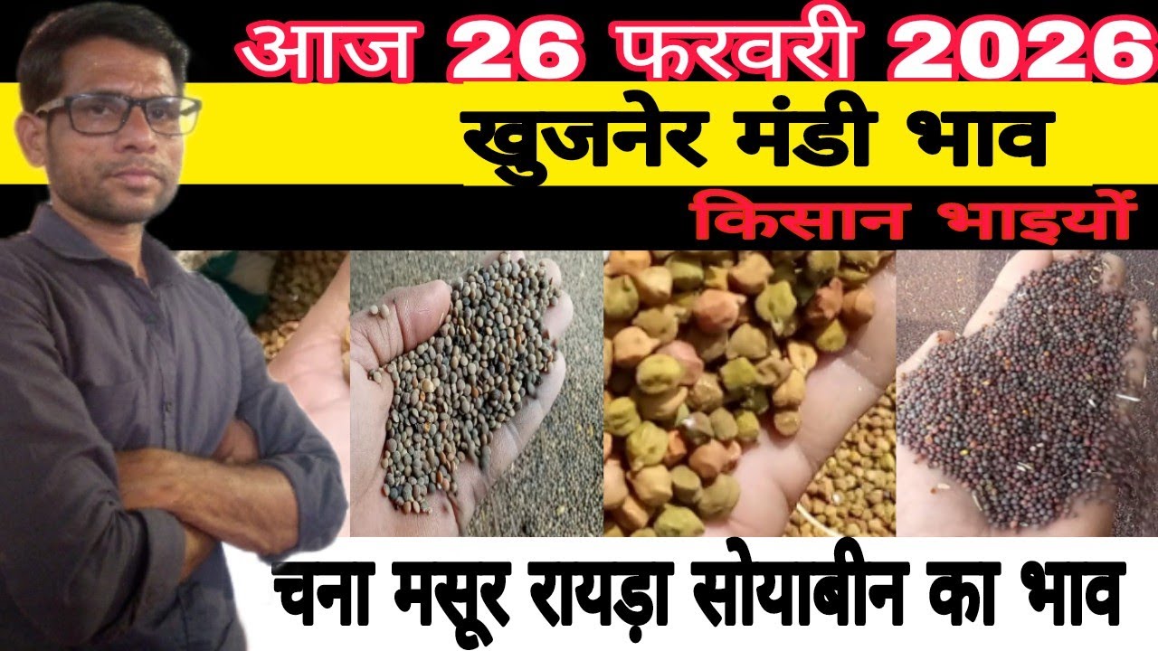 Khujner Mandi Bhav| खुजनेर मंडी भाव|जीरापुर मंडी भाव|पचोर मंडी भाव|नीमच मंडी भाव|रायड़ा|राई/सरसों