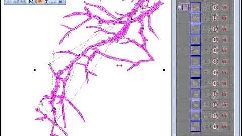 Applying Automatic Branching