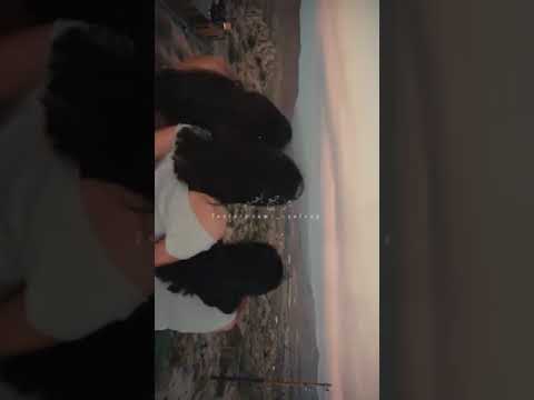 اغاني بيغ سام مابتهون رسمنا حياة ولا كملت