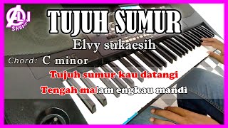 TUJUH SUMUR - Elvy Sukaesih -  Karaoke Dangdut Korg Pa300