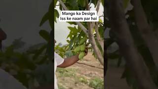 Mango ki Growth 45°C main
