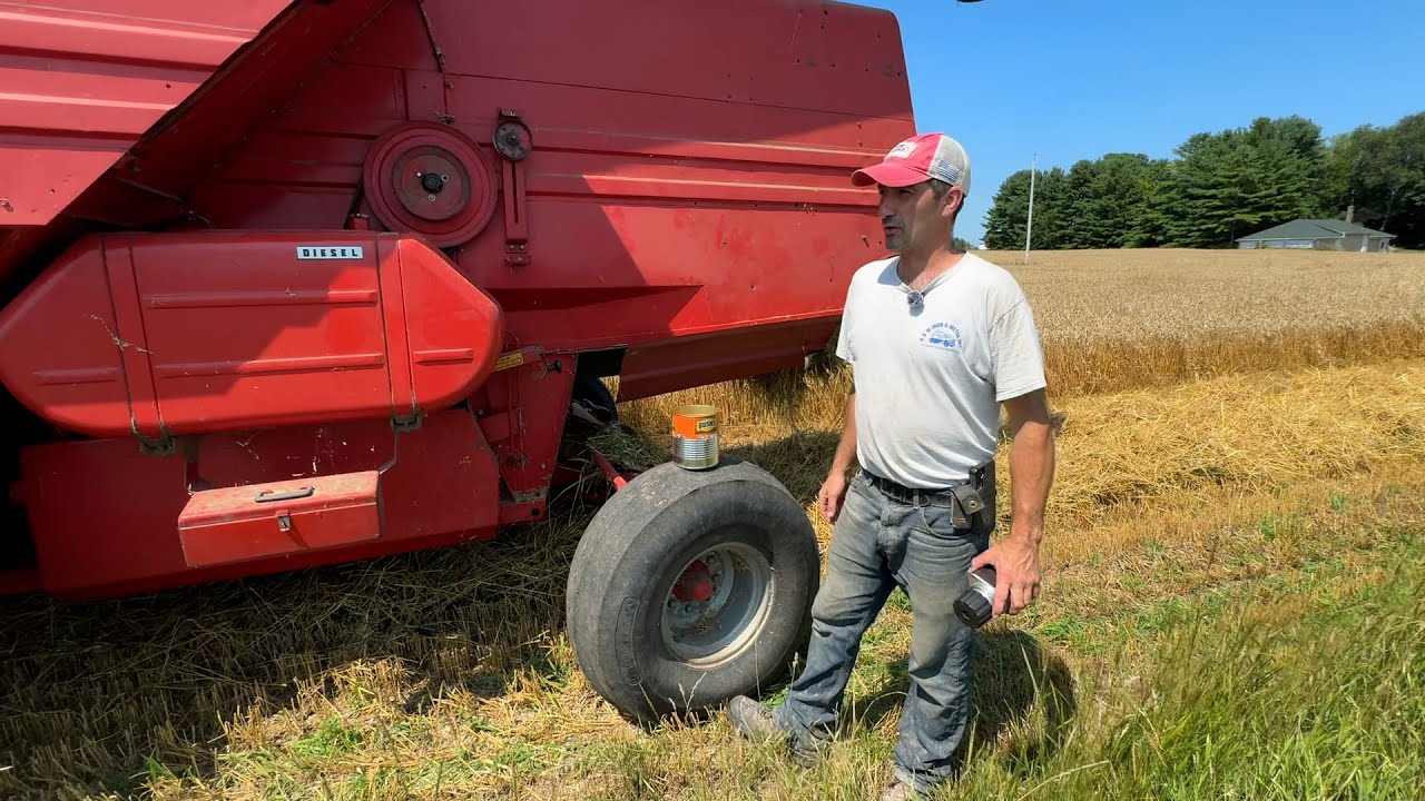 Maple Woods Dairy Farm S2 E5 Wheat harvest & new grain bin