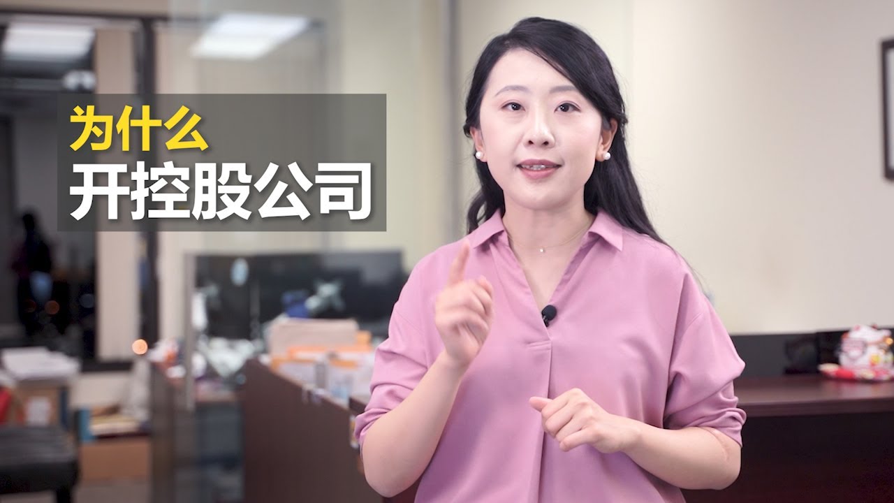 为什么要开控股公司？ 完全是从省税上考虑的还是另有原因？