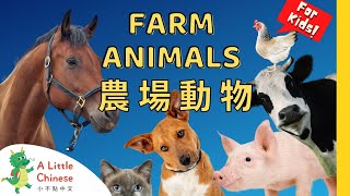 22 Farm Animals 農場動物 | Simple Vocabulary in Traditional Chinese | Learn Chinese for Kids & Toddlers screenshot 5