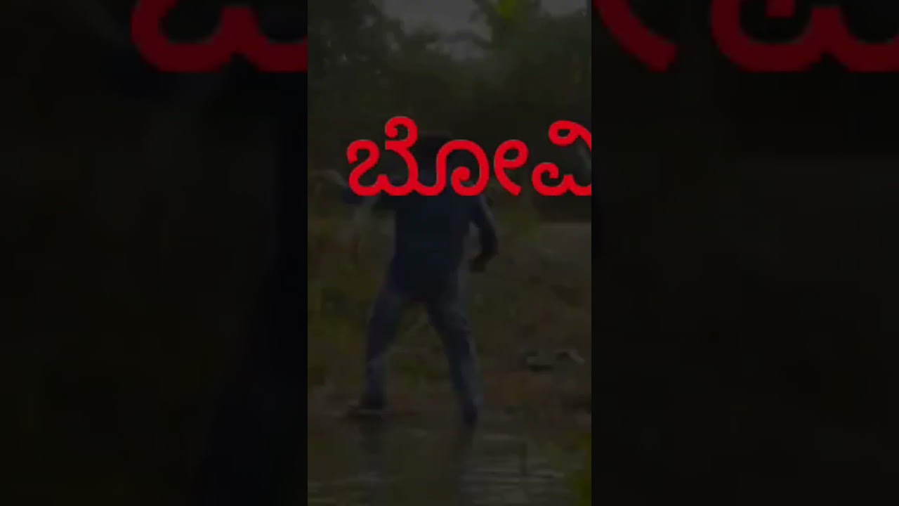 ಚಿತ್ರದ ಸಾಹಸ ದೃಶ್ಯ