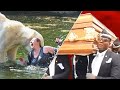 Coffin Dance ft. Animal Attacks | Part 2 But more EPIC