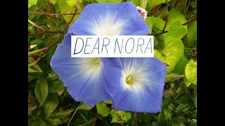 Video thumbnail of "Dear Nora - Morning Glories (Music Video)"