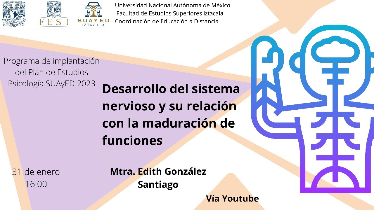 Desarrollo del sistema nervioso y su relación con la maduración de funciones