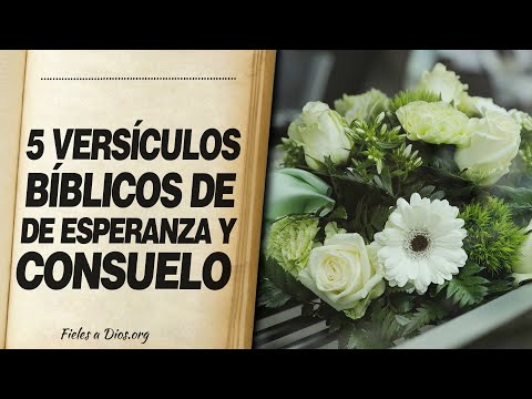 Frases Bíblicas de Consuelo por Muerte de un Ser Querido - Biblia Online