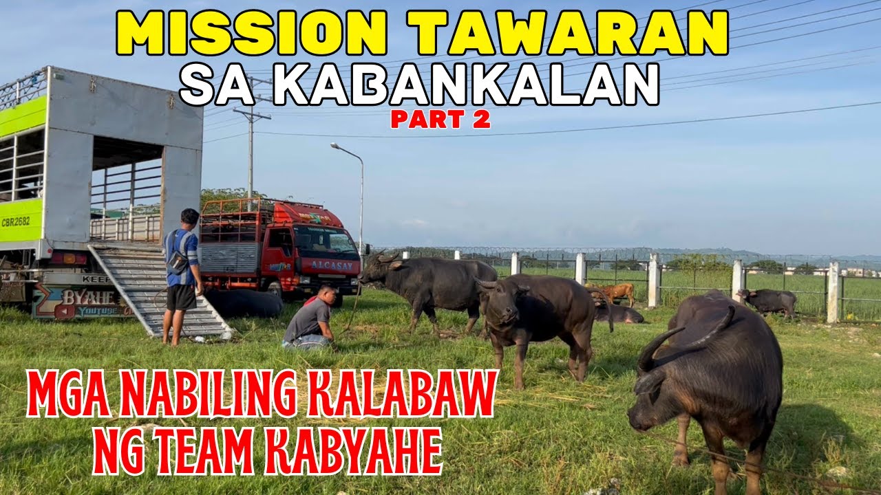 MISSION TAWARAN SA KABANKALAN 2 MGA NABILING KALABAW NG TEAM KABYAHE