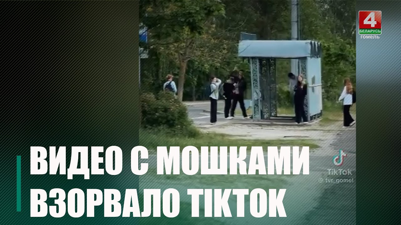 Из-за нашествия мошкары гомельчане ломают ветки деревьев. За это можно ...