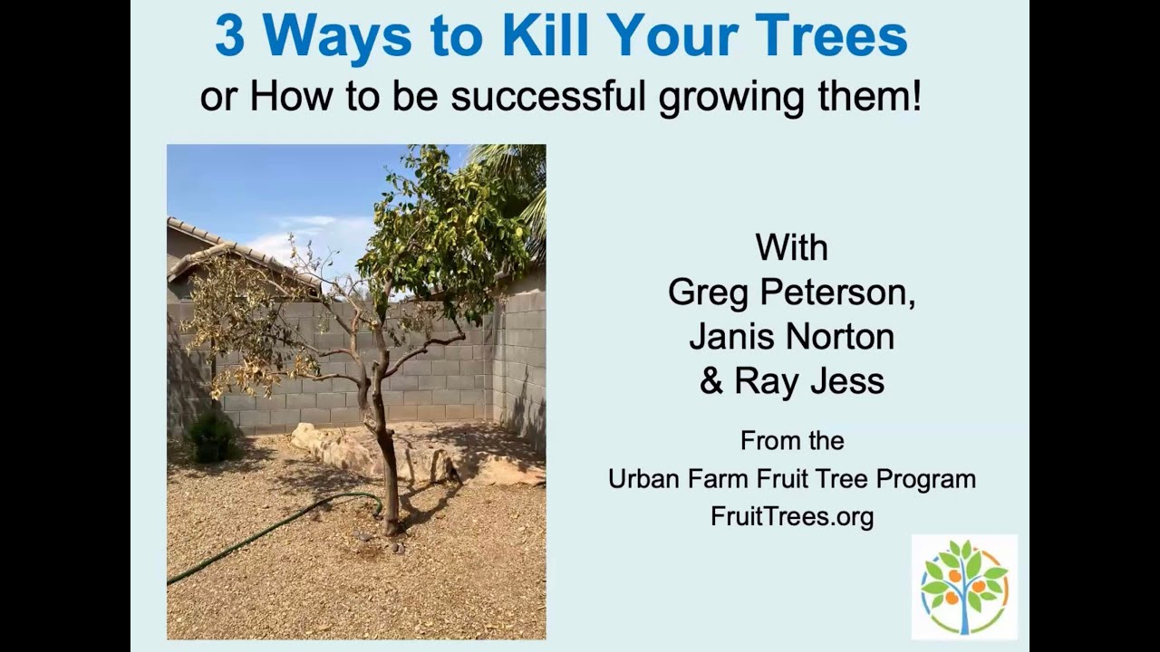 3 Ways to kill your fruit trees!  w/ Greg, Janis & Ray of the Urban Farm Fruit Tree Program