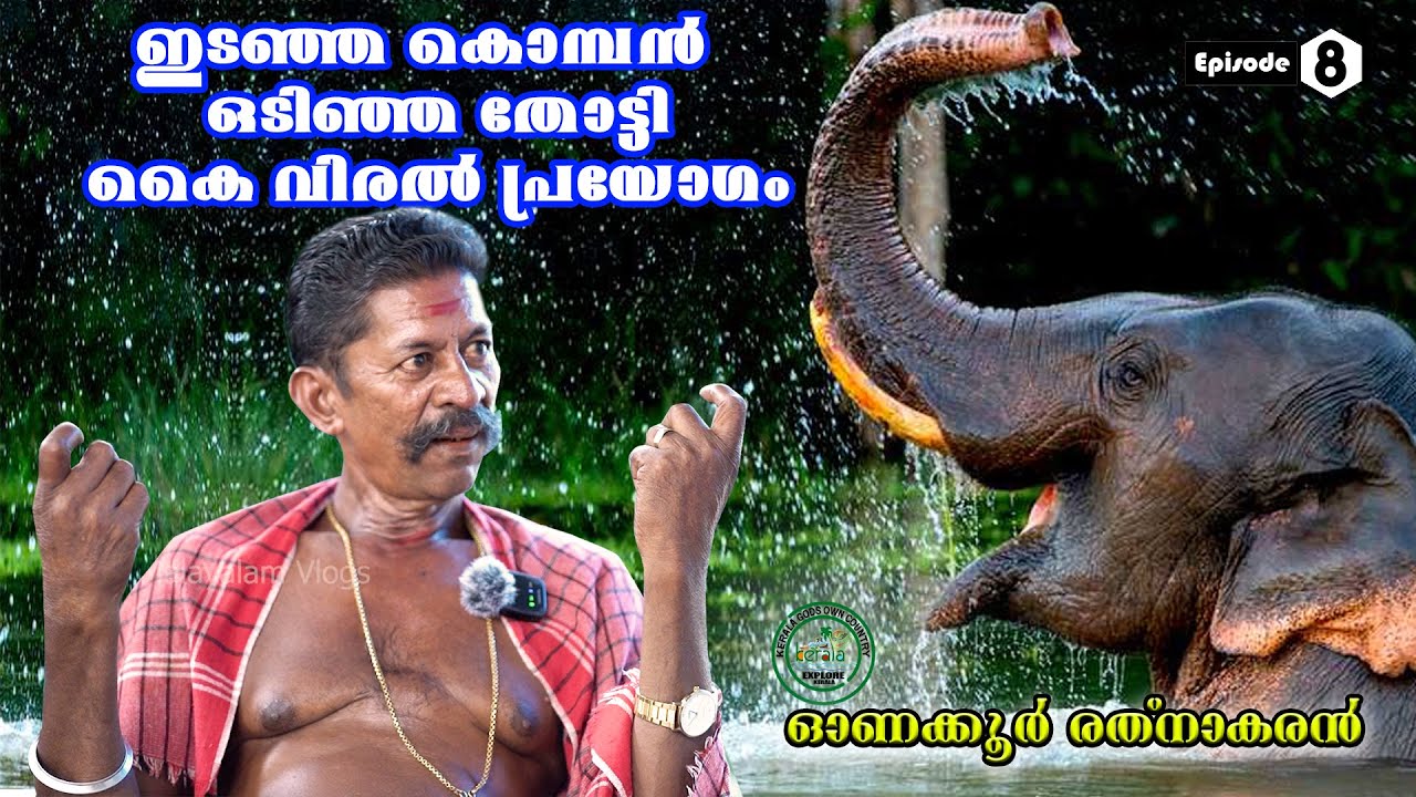 MALAYALAM VLOGS | ONAKKOOR RATHNAKARAN | LIFE STORY | VINOD ADITHYA | ELEPHANT TRAINER | KERALA ANA
