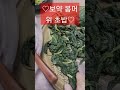 기발한 머위 초밥! 맛있어 공유해요~~~♡♡♡