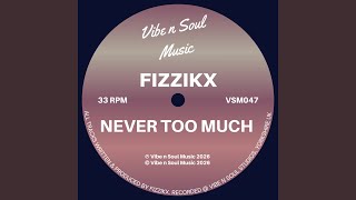 Never Too Much (Vibe n Soul Vocal Mix)