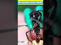 Amazon जंगल में पाए जाने वाले सबसे खौफनाक जानवर Dangerous Animals inAmazon Forest #shorts