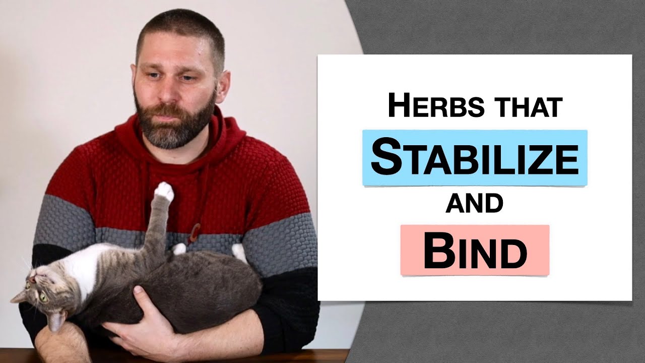 🌿 Herbology 3 Review Herbs that Stabilize and Bind (Extended Live