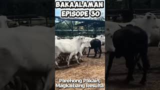 Bakaalaman Episode 30 - Parehong Pakain, Magkaibang Resulta