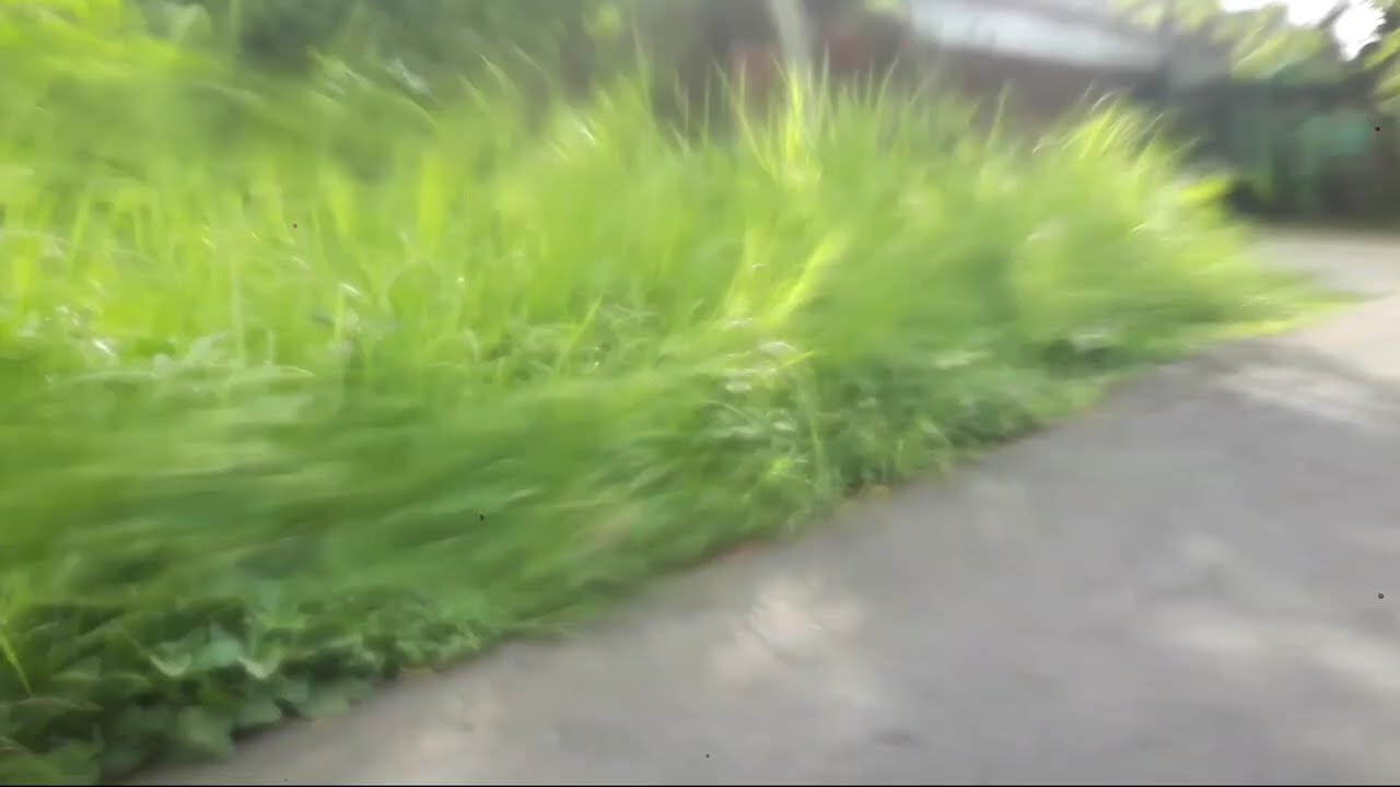 TIARA AMORA DANGDUT SANTAI KUMPULAN DANGDUT HITS - BAHTERA CINTA, KERINDUAN, KANDAS