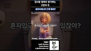 프라이버시 침해냥! [집사라면 모두 공감할 이야기]
