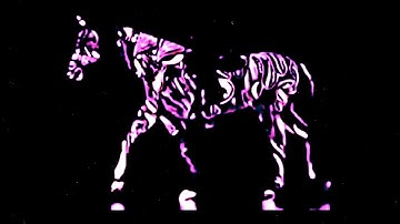 Horse Moving Forward Or Backward?/Horse moving backward only/Optical Illusion