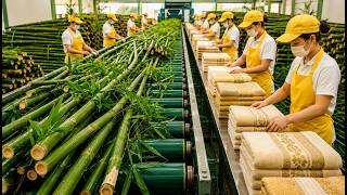 Inside a Massive Bamboo Factory | How Bamboo Becomes Soft Towels & Bed Linen screenshot 1