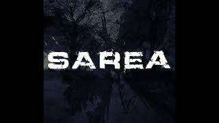 Watch Sarea Perception video